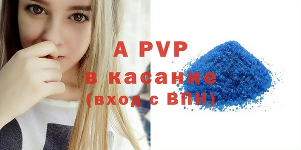 МДПВ Ельня