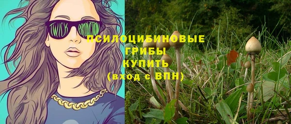 МДПВ Ельня