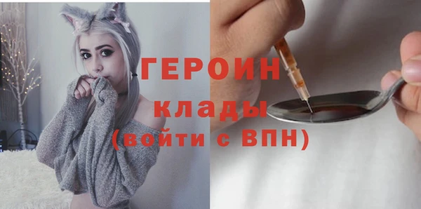 МДПВ Ельня