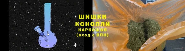 МДПВ Ельня