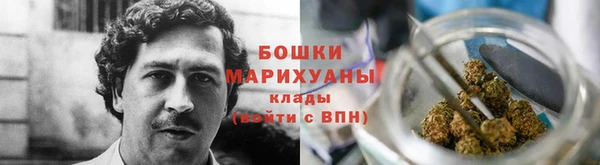 МДПВ Ельня