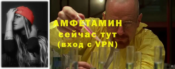 МДПВ Ельня