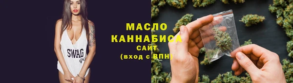 МДПВ Ельня