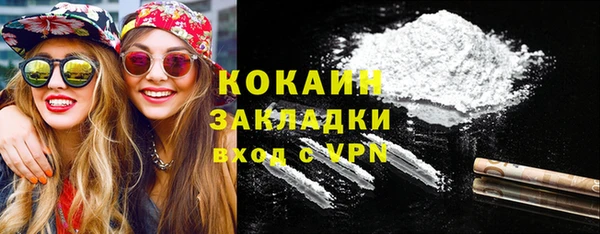 МДПВ Ельня