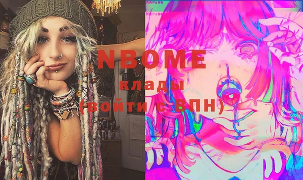 МДПВ Ельня