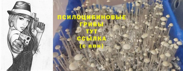 МДПВ Ельня