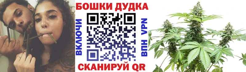 Марихуана индика  наркота  Сенгилей 